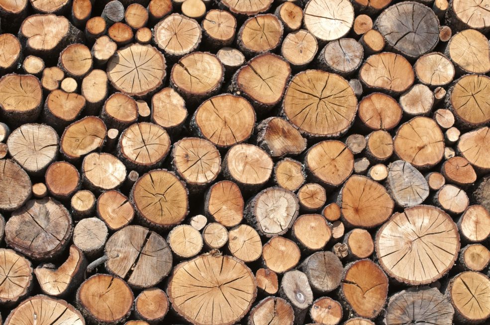 مشخصات چوب خوب برای نجاری