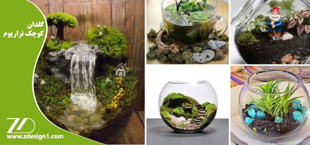 گلدان کوچک تراریوم