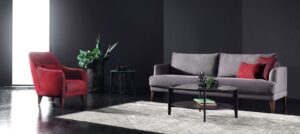 تاثیر رنگ مبلمان در خانه