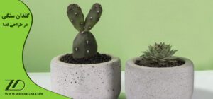 کاربرد گلدان سنگی کوچک
