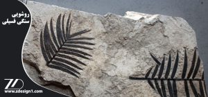 روشویی سنگی فسیلی