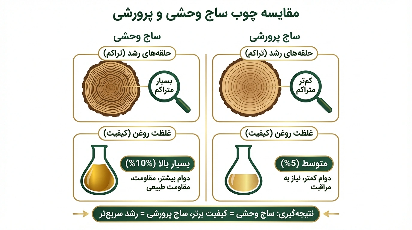 درخت ساج وحشی چیست و چه تفاوتی با گونه‌های پرورشی دارد؟