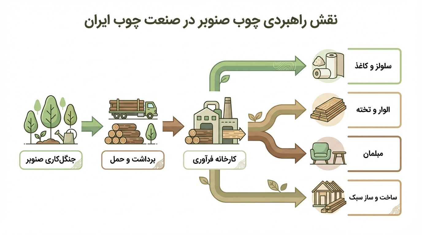 ویژگیهای چوب سپیدار در صنعت دکوراسیون ایران